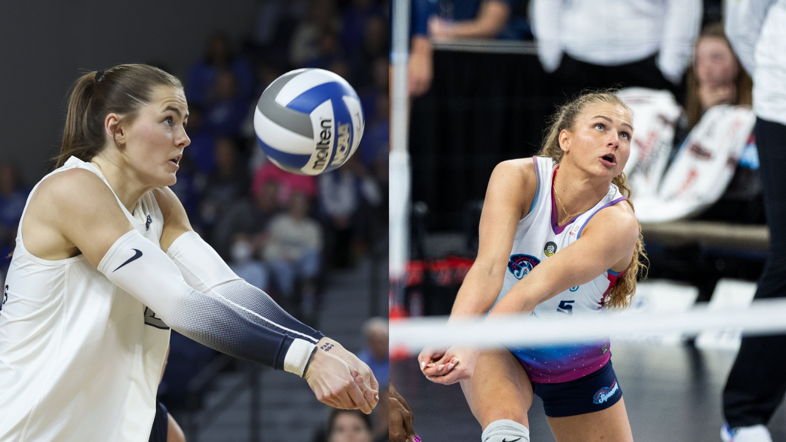 Omaha Supernovas add returnee Nuneviller, newcomer Norah Sis to list of recent signings